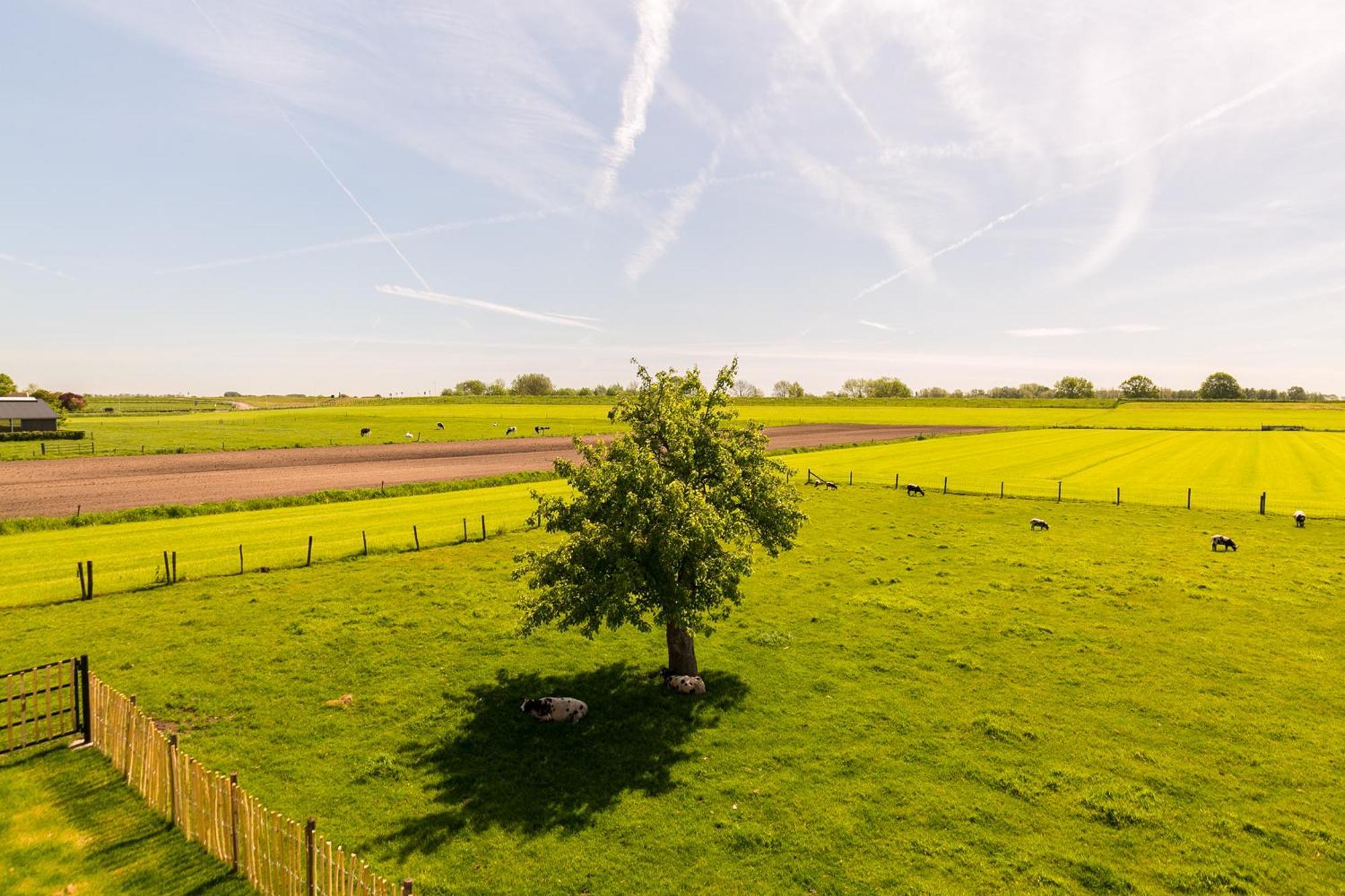 Bed and Breakfast Boerderij De Zalm Schalkwijk Экстерьер фото